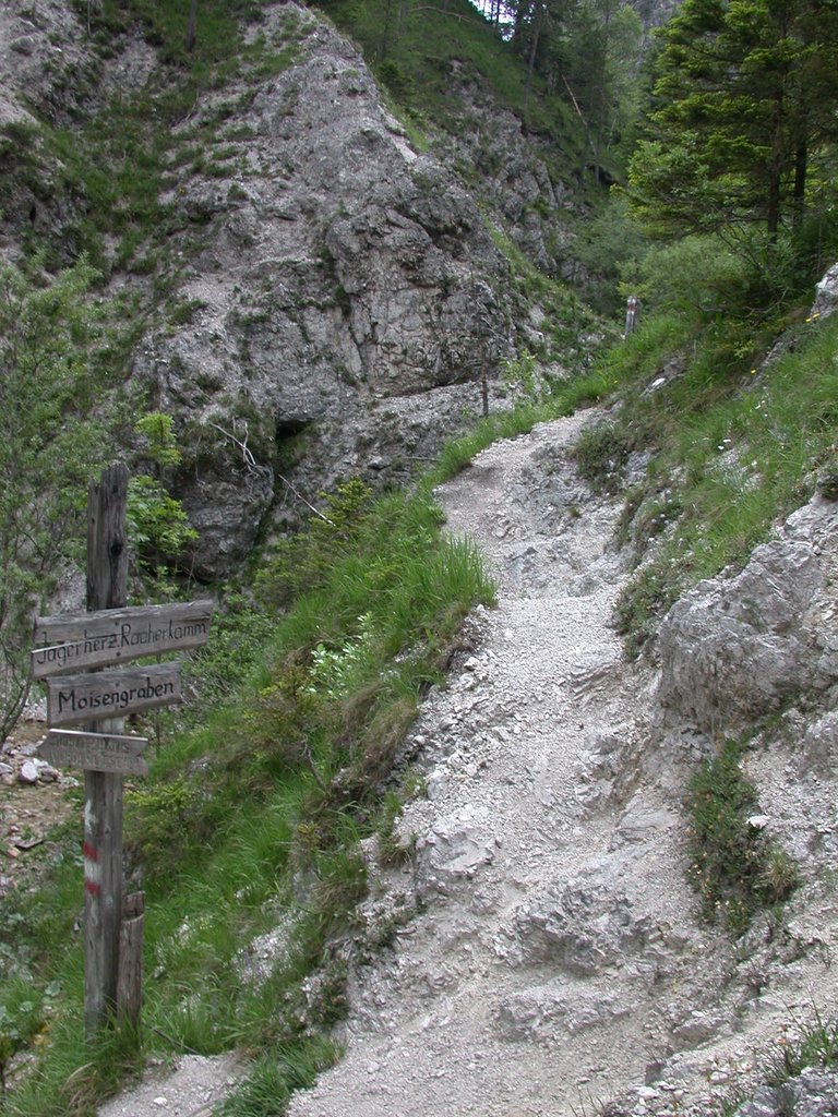 DSCN6011.JPG