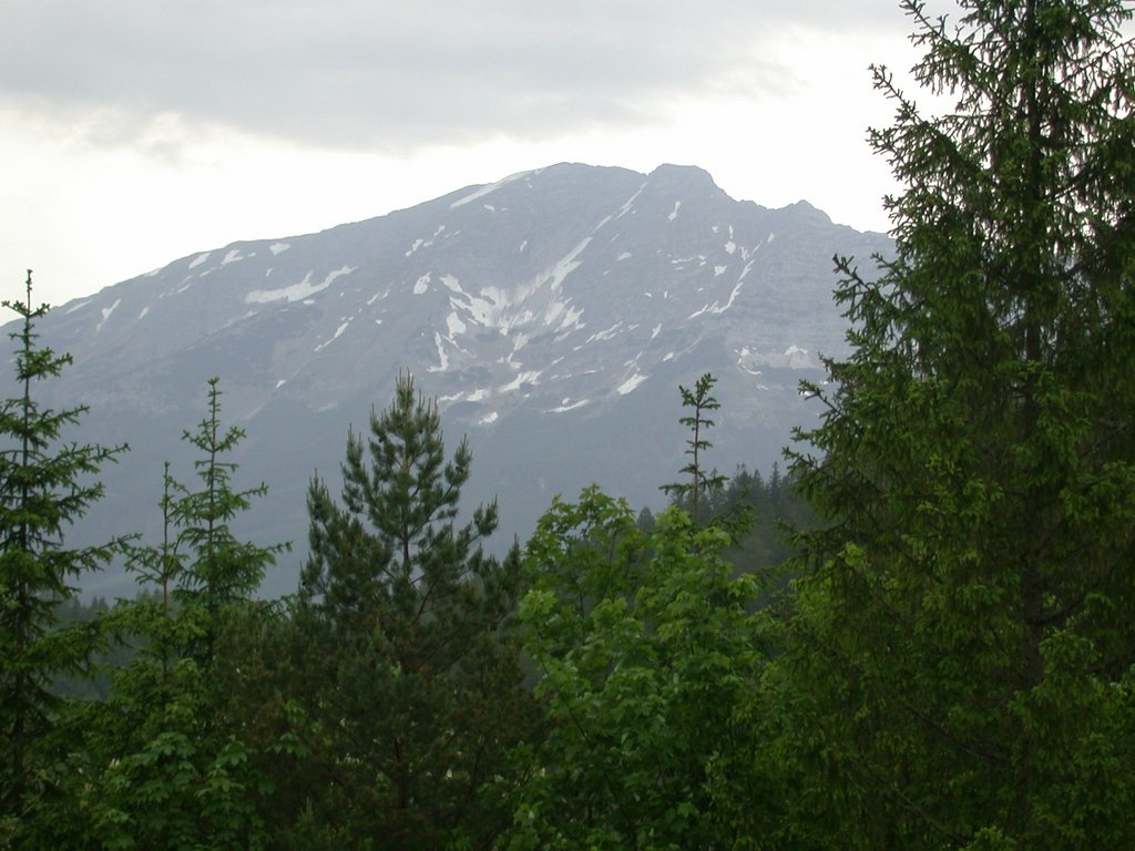 DSCN6018.JPG