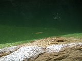 DSCN5790.JPG