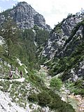 DSCN5797.JPG