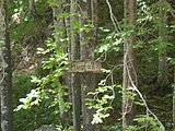 DSCN5798.JPG