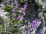 DSCN5814.JPG