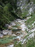 DSCN5825.JPG