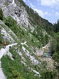 DSCN5827.JPG