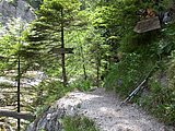 DSCN5835.JPG