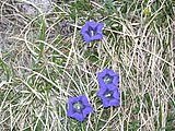 DSCN5948.JPG