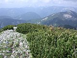DSCN5950.JPG