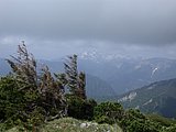 DSCN5953.JPG