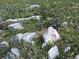 DSCN5955.JPG