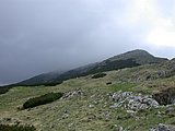 DSCN5956.JPG
