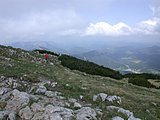 DSCN5959.JPG
