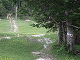 DSCN6006.JPG