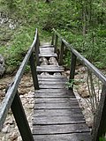 DSCN6009.JPG