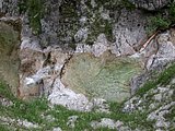 DSCN6010.JPG