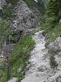DSCN6011.JPG