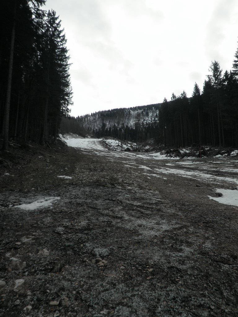 PC270041.JPG