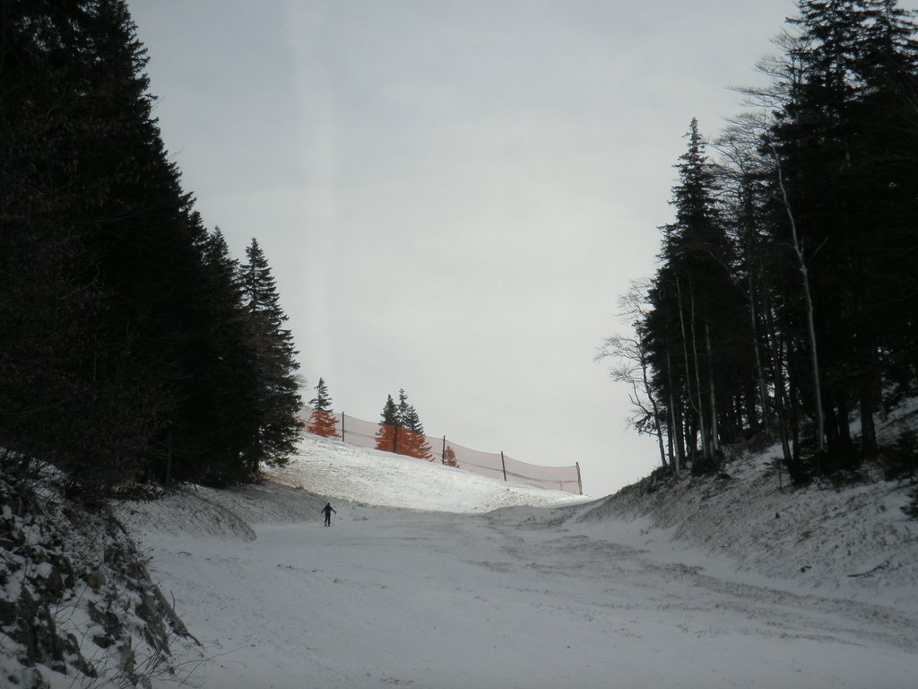 PC270046.JPG