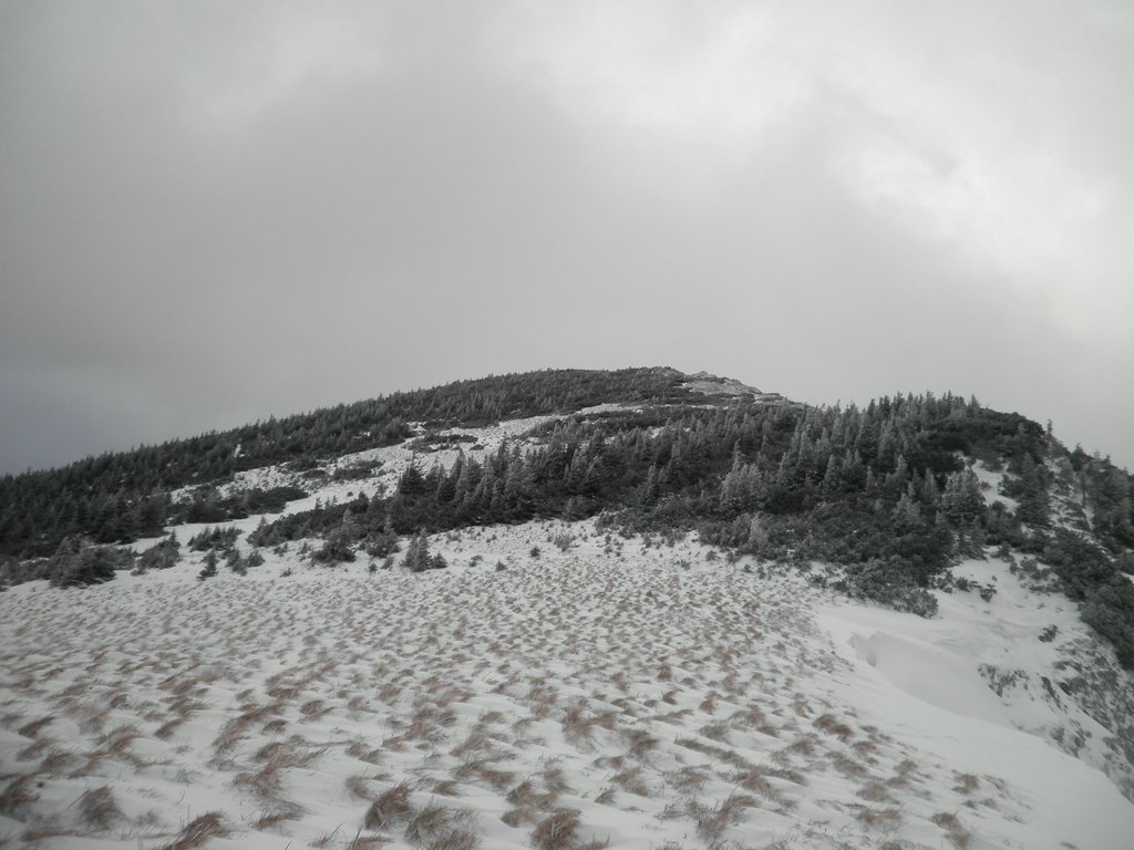 PC280063.JPG