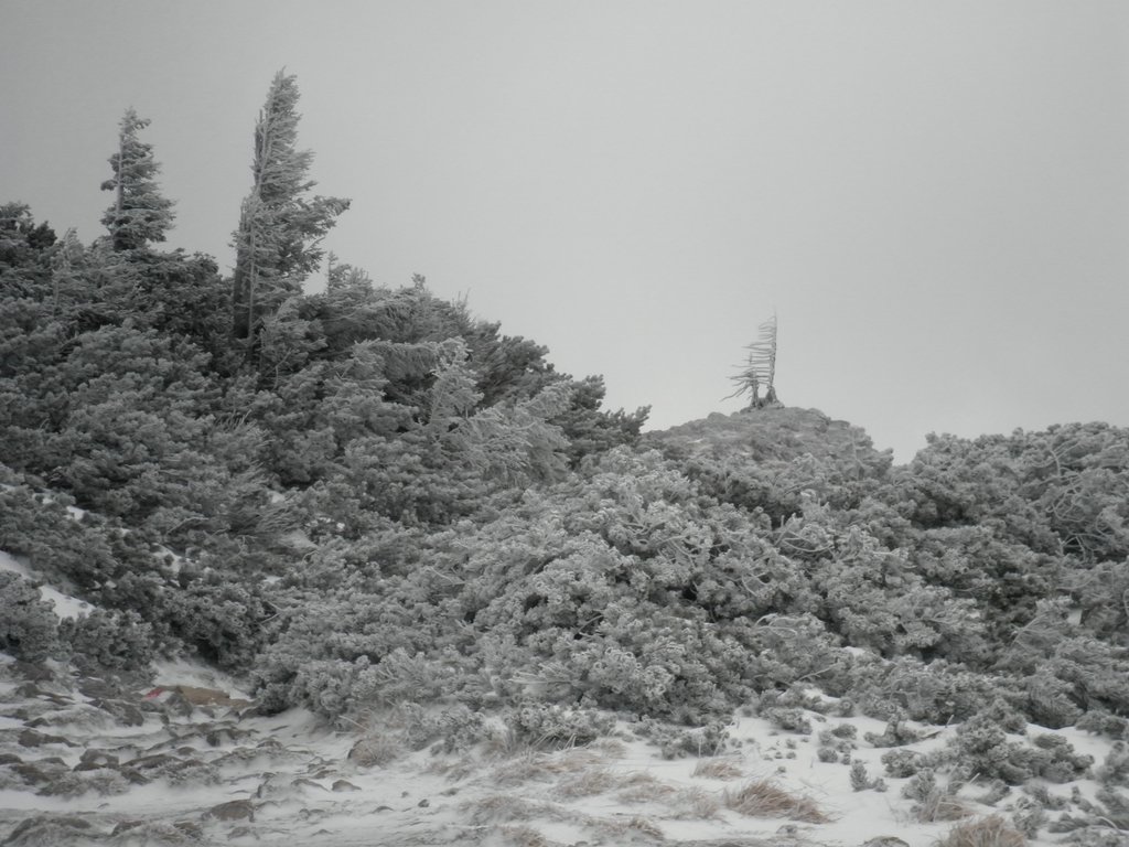 PC280064.JPG