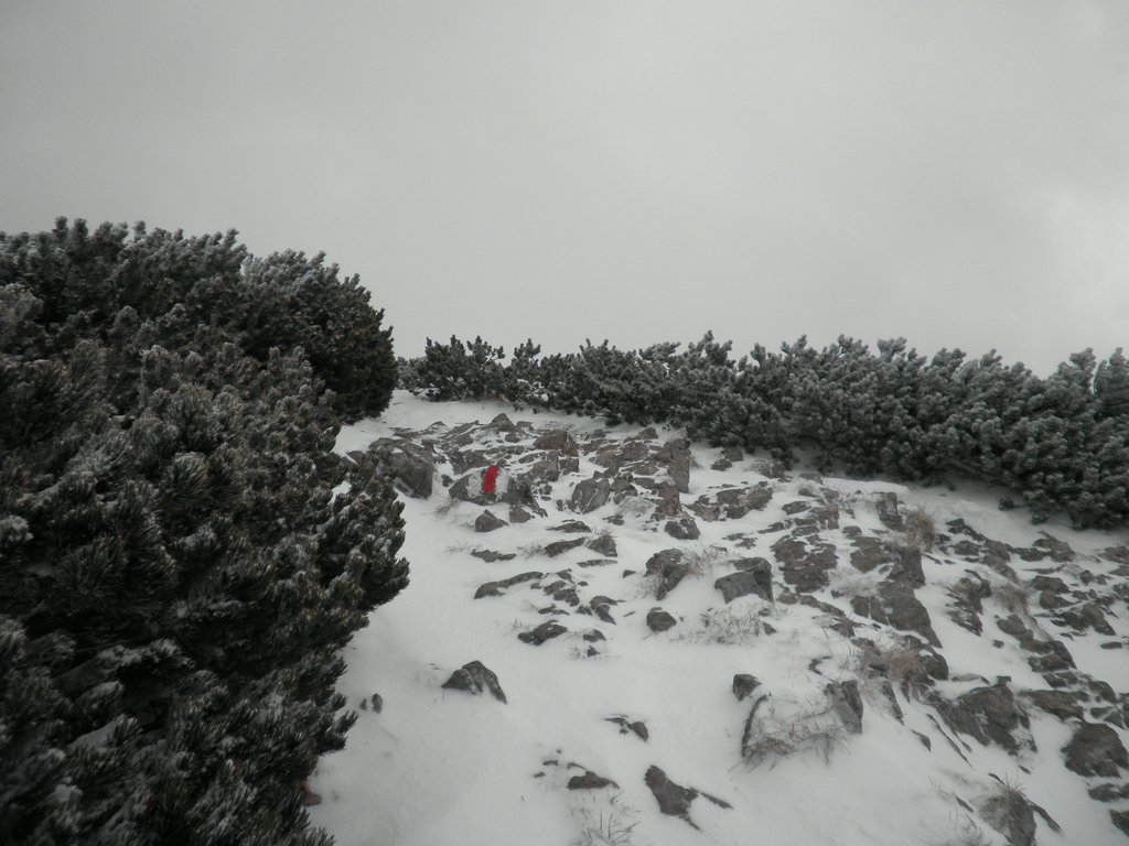 PC280065.JPG