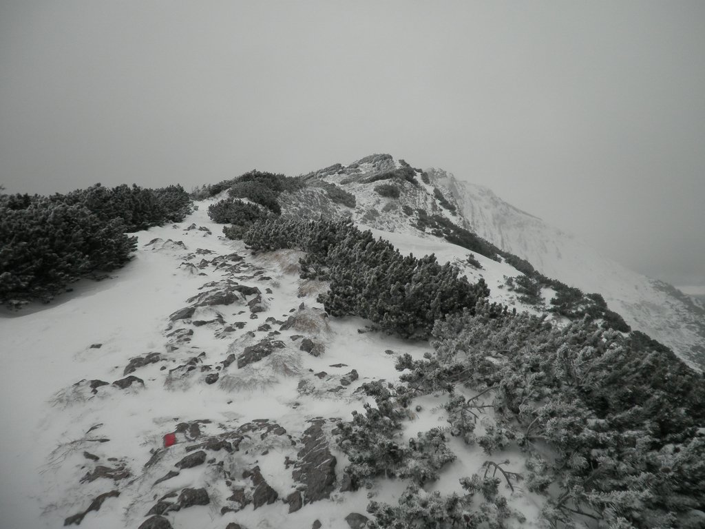 PC280067.JPG