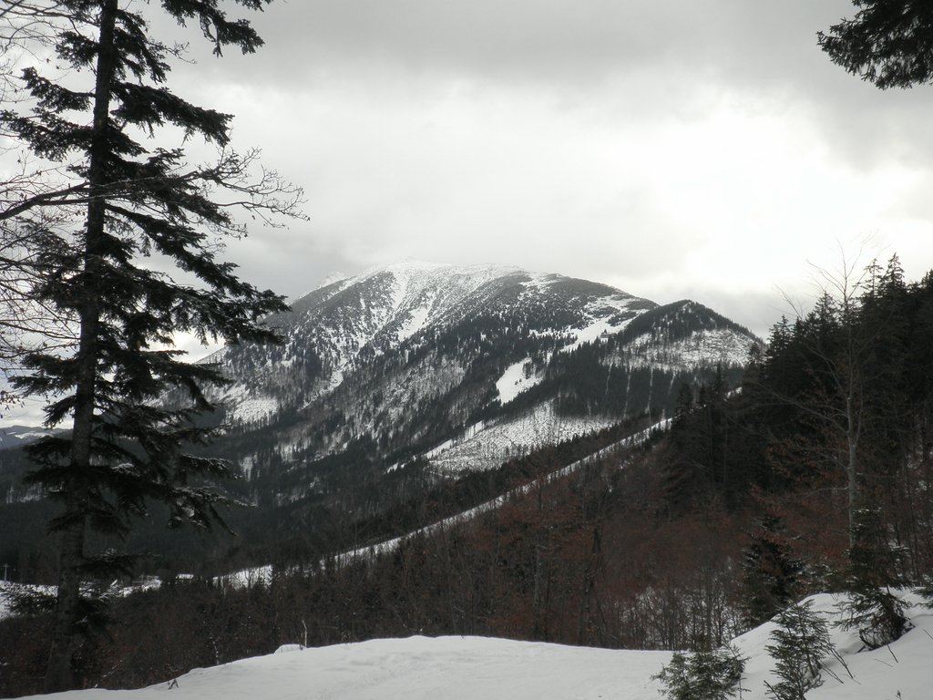 PC280102.JPG