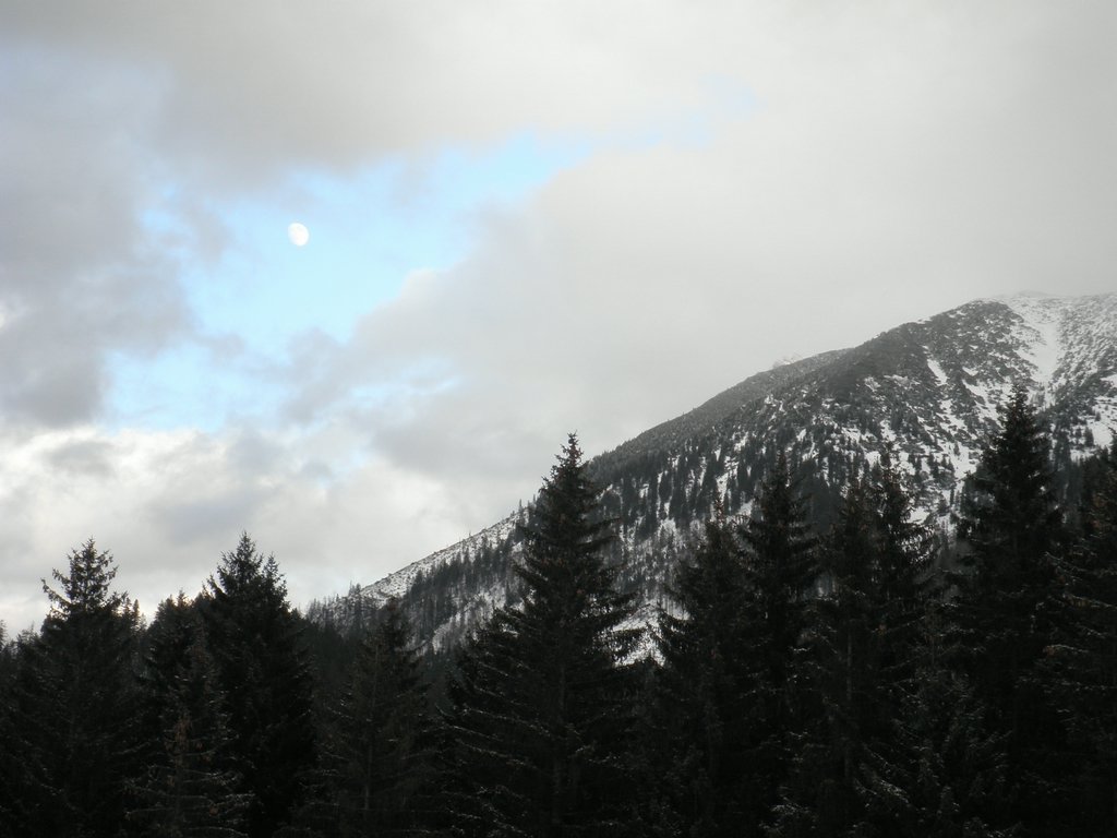 PC280107.JPG