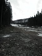 PC270041.JPG