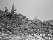 PC280064.JPG