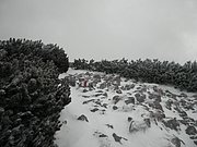 PC280065.JPG