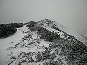 PC280067.JPG