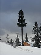 PC280096.JPG