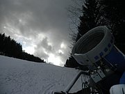 PC280106.JPG