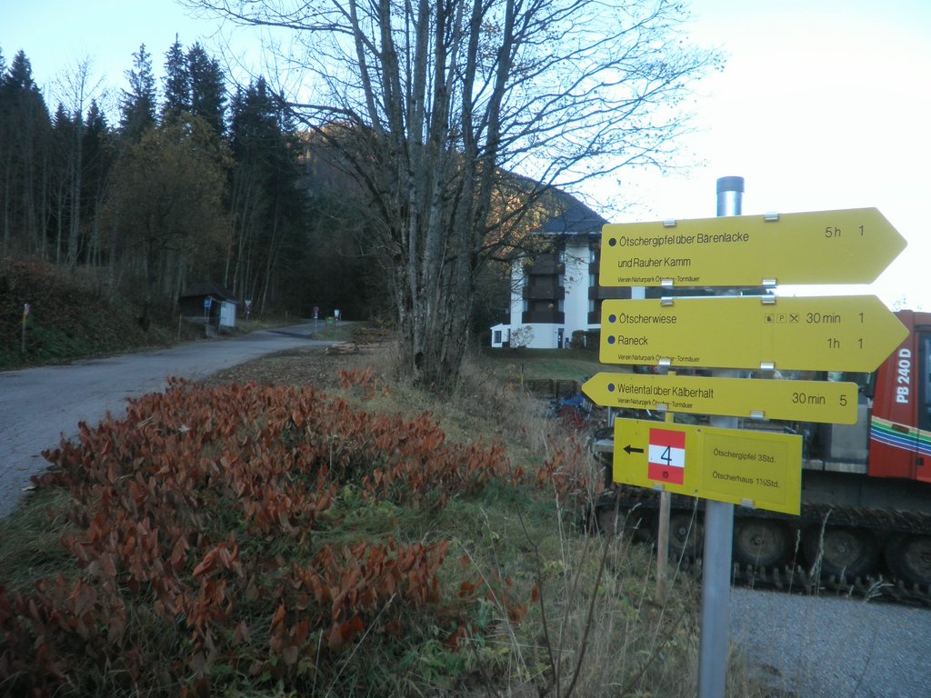 PB010007.JPG