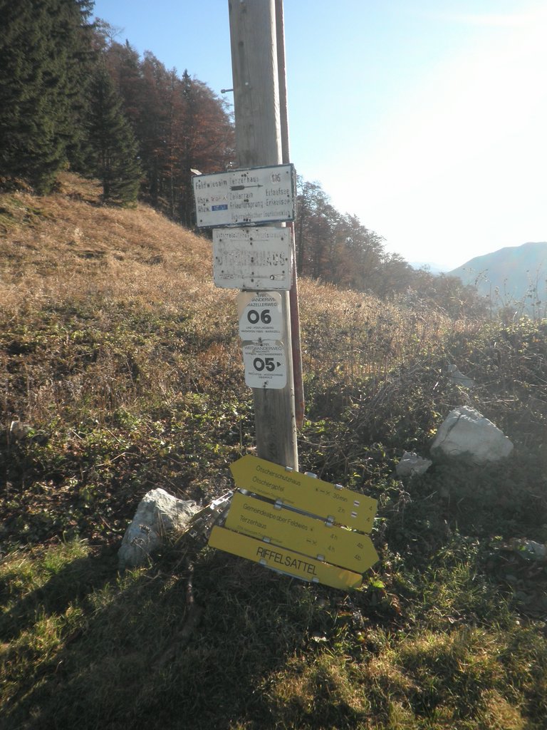 PB010014.JPG