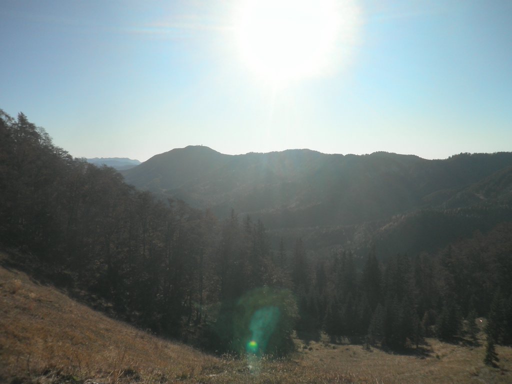 PB010016.JPG