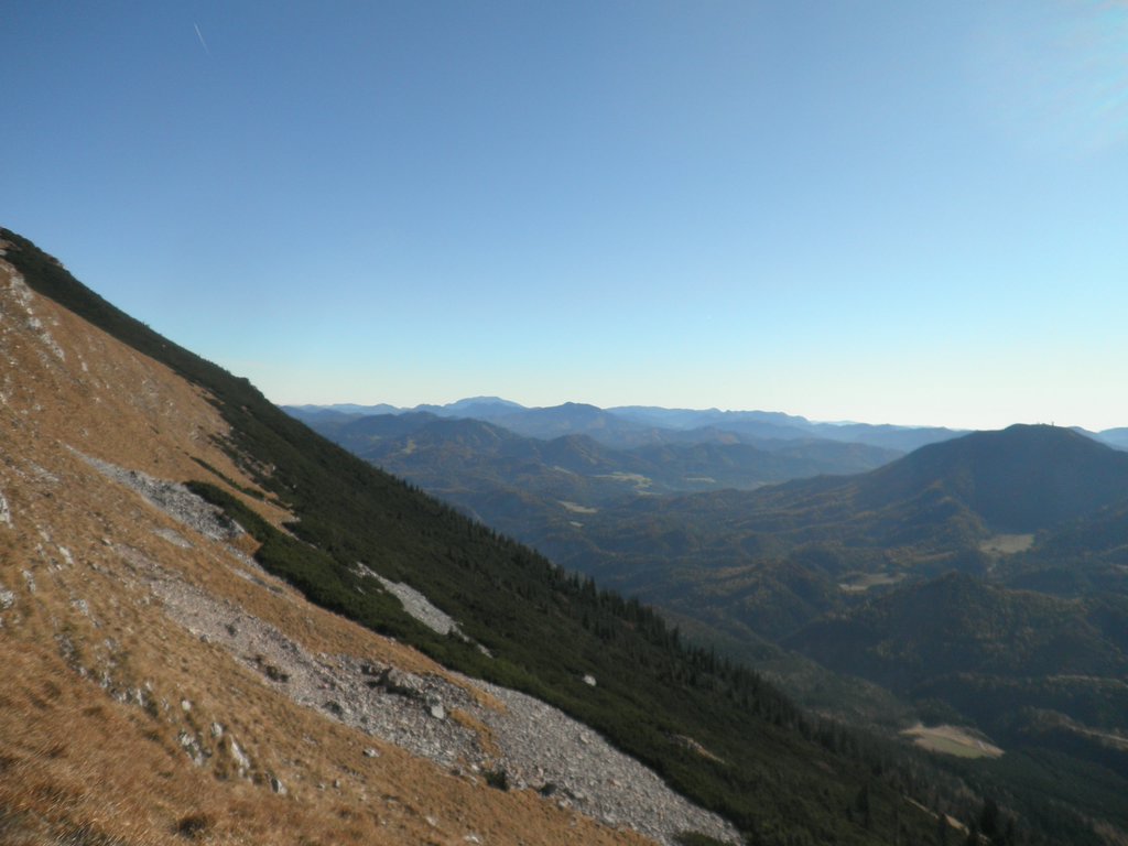 PB010026.JPG