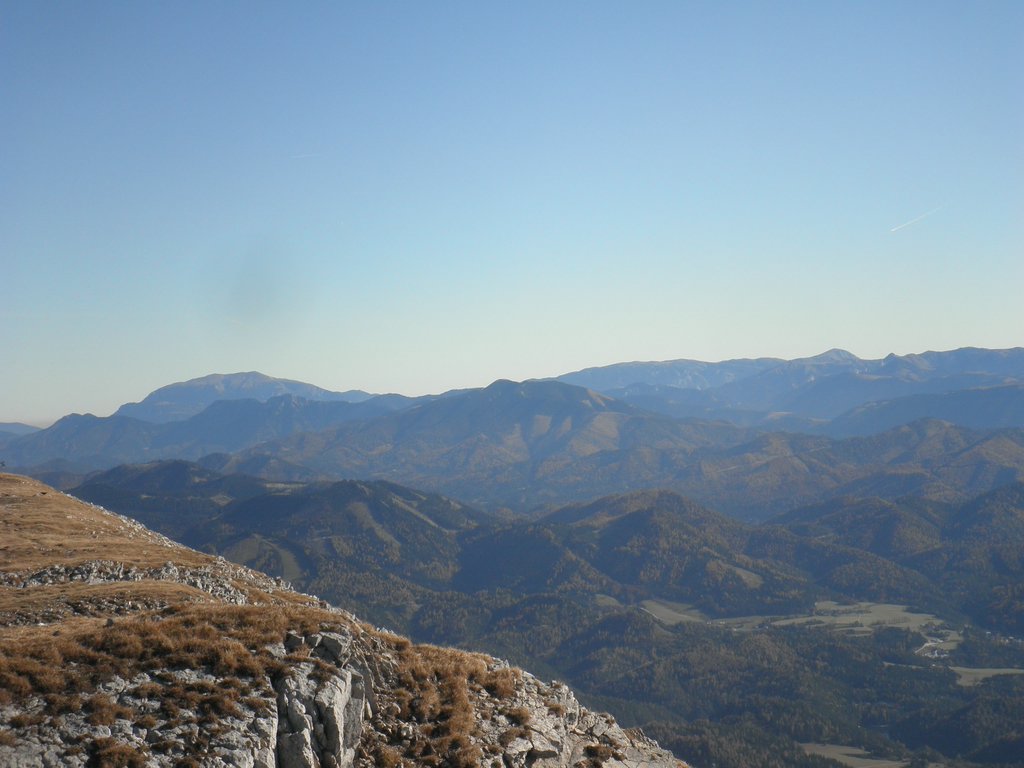 PB010037.JPG