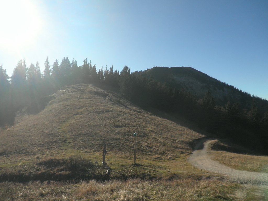 PB010056.JPG