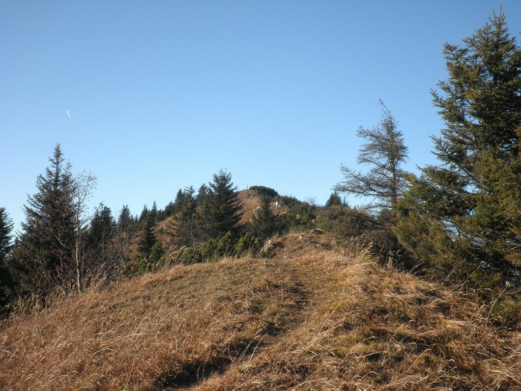 PB010060.JPG