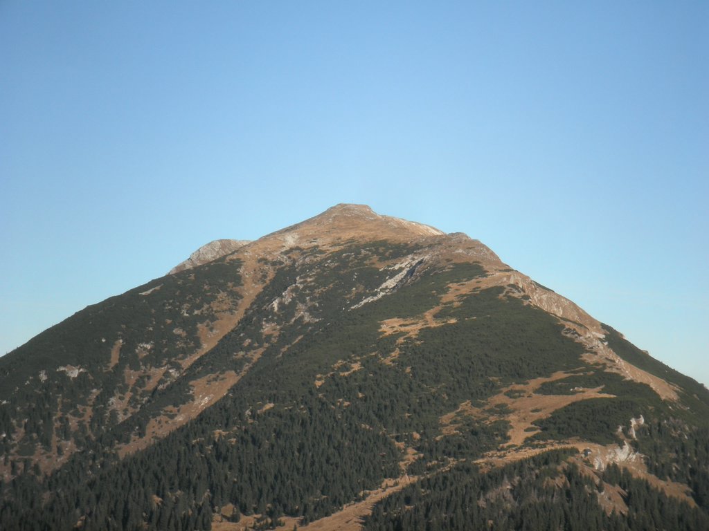 PB010065.JPG