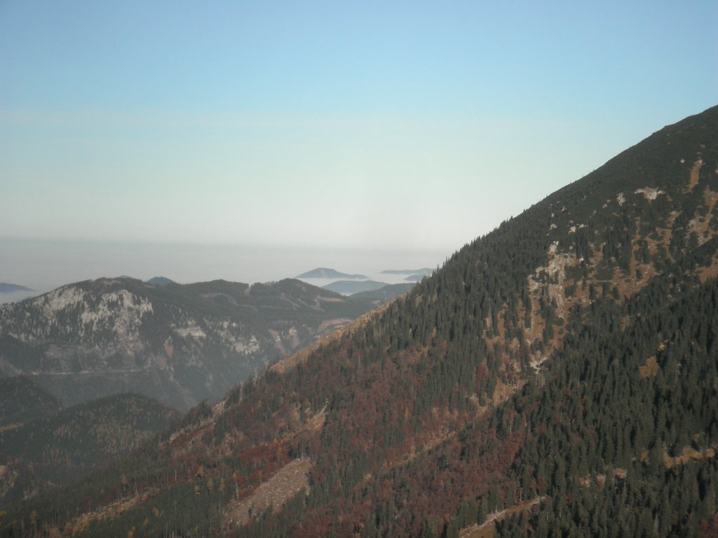 PB010067.JPG