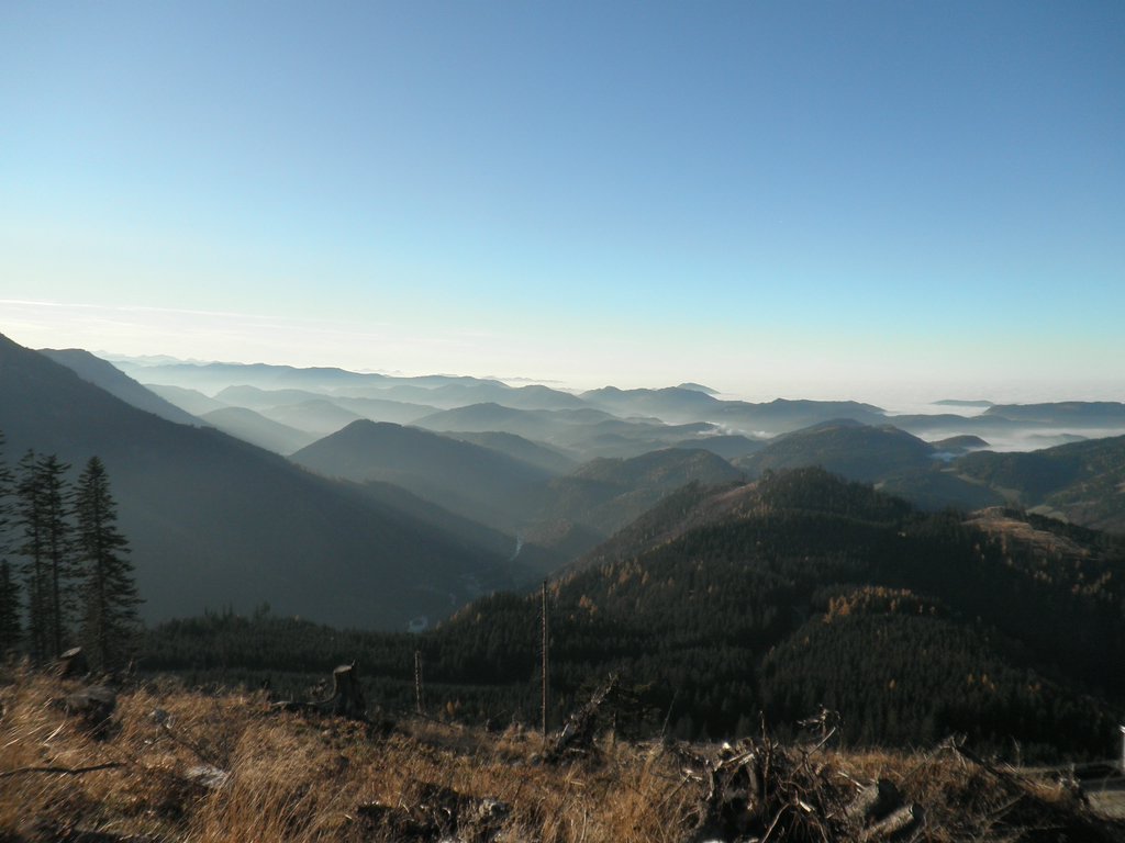 PB010071.JPG