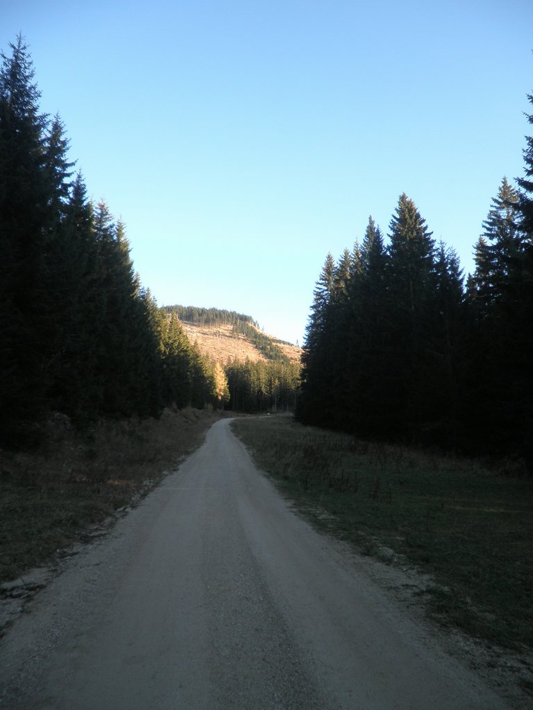 PB010077.JPG