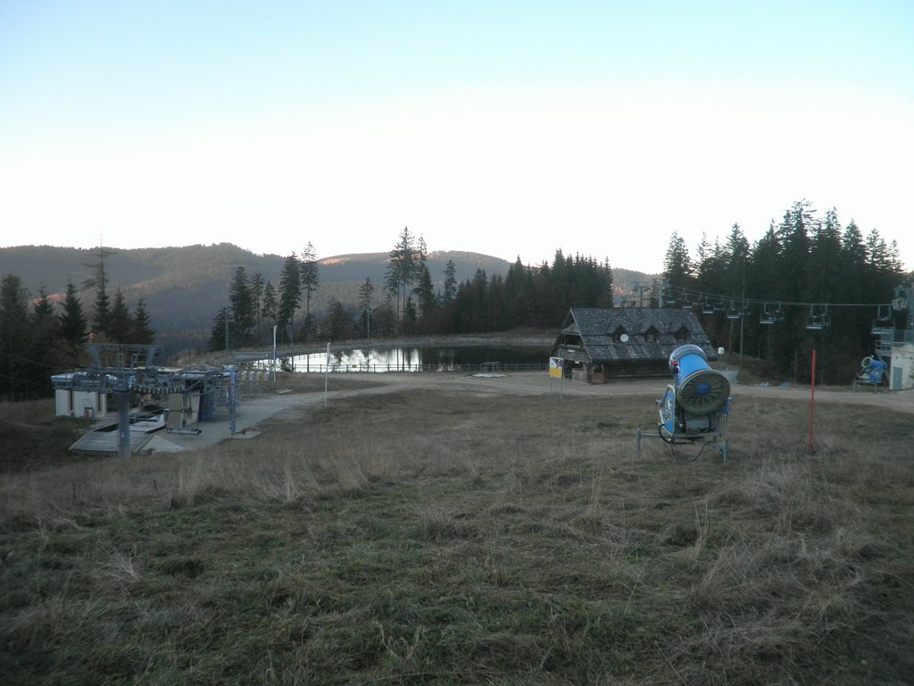 PB010079.JPG