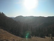 PB010016.JPG