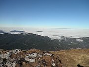 PB010033.JPG