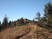 PB010060.JPG