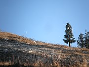 PB010070.JPG