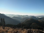 PB010071.JPG
